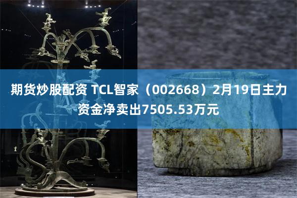 期货炒股配资 TCL智家（002668）2月19日主力资金净卖出7505.53万元