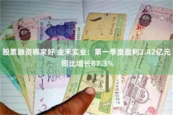 股票融资哪家好 金禾实业：第一季度盈利2.42亿元 同比增长87.3%