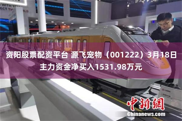 资阳股票配资平台 源飞宠物（001222）3月18日主力资金净买入1531.98万元