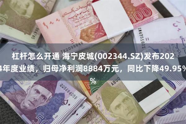 杠杆怎么开通 海宁皮城(002344.SZ)发布2024年度业绩，归母净利润8884万元，同比下降49.95%