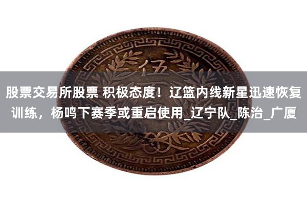 股票交易所股票 积极态度！辽篮内线新星迅速恢复训练，杨鸣下赛季或重启使用_辽宁队_陈治_广厦