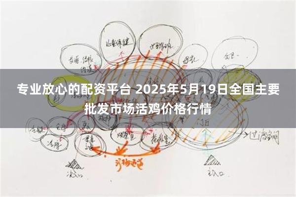 专业放心的配资平台 2025年5月19日全国主要批发市场活鸡价格行情