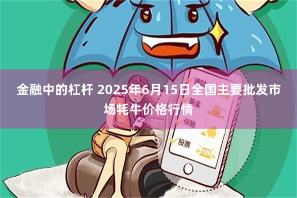 金融中的杠杆 2025年6月15日全国主要批发市场牦牛价格行情