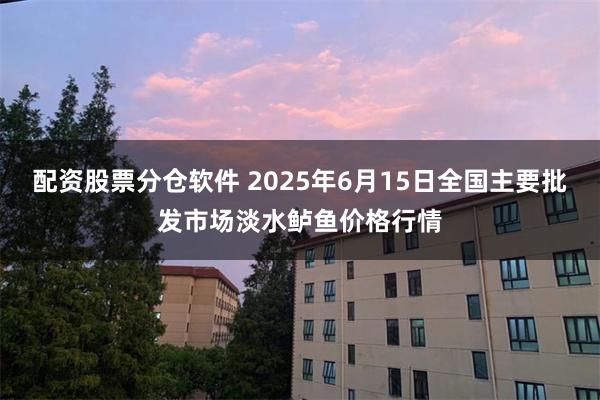 配资股票分仓软件 2025年6月15日全国主要批发市场淡水鲈鱼价格行情