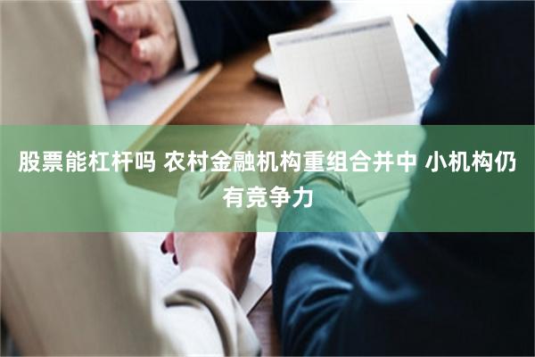股票能杠杆吗 农村金融机构重组合并中 小机构仍有竞争力