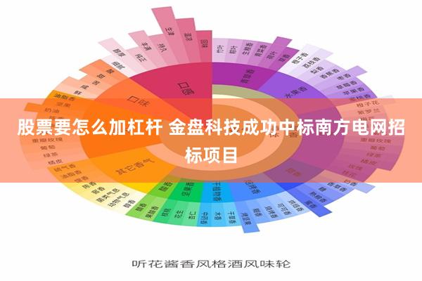 股票要怎么加杠杆 金盘科技成功中标南方电网招标项目
