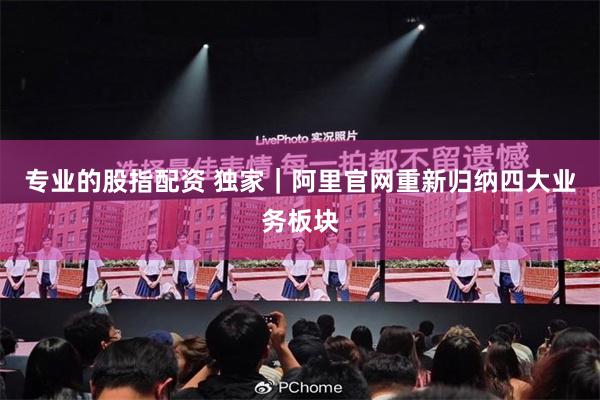 专业的股指配资 独家｜阿里官网重新归纳四大业务板块